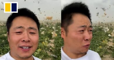 Sandstorm batters Chinese farm as live-streamer tries selling melons