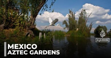 Saving Mexico city’s ancient gardens: Urban development threatens Aztec canal network