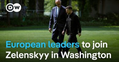 Security guarantees for Ukraine: What could the US and the EU offer? | DW News