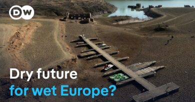 Should Europe be looking to the Global South for solutions on water scarcity? | DW News