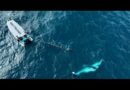 SNEAK PEEK: An incredible journey along the “Humpback Highway” | 60 Minutes Australia