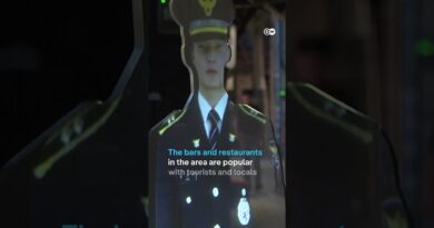 South Korea installs holographic police officer | DW  News