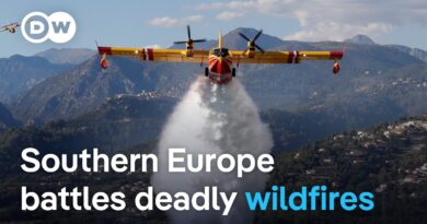 Southern Europe hit by wildfires and record temperatures | DW News