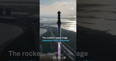 SpaceX’s Starship rocket completed its 10th test flight | DW News