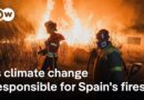 Spain experiences worst wildfire season since records began | DW News