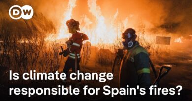 Spain experiences worst wildfire season since records began | DW News
