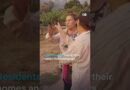 Spain: Special firefighting unit battles forest fires | DW News