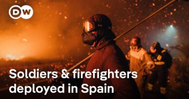 Spanish authorities continue to battle huge ongoing wildfires | DW News