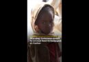 Starving Sudanese resort to animal feed in besieged el-Fasher | AJ #shorts