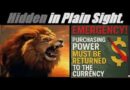 STATE OF EMERGENCY! THE USA IS NOW A FAILED-STATE… Mannarino