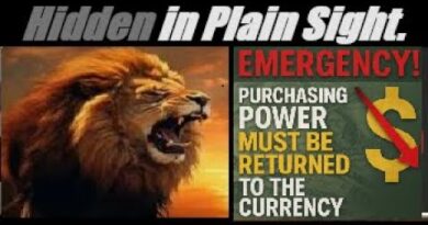 STATE OF EMERGENCY! THE USA IS NOW A FAILED-STATE… Mannarino