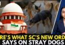 Supreme Court Eases Order On Stray Dogs, Allows Return After Vaccination
