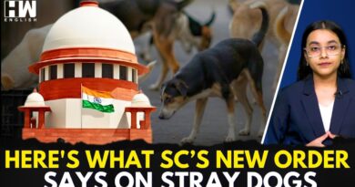 Supreme Court Eases Order On Stray Dogs, Allows Return After Vaccination