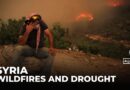 Syria wildfires: Civil defence teams battle blazes in Latakia and Hama