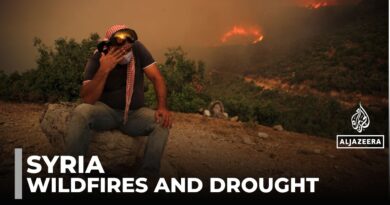 Syria wildfires: Civil defence teams battle blazes in Latakia and Hama