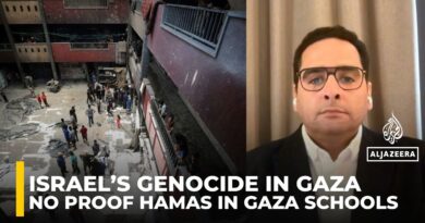 Targeting schools in Gaza shows Israel wants population gone, says rights expert