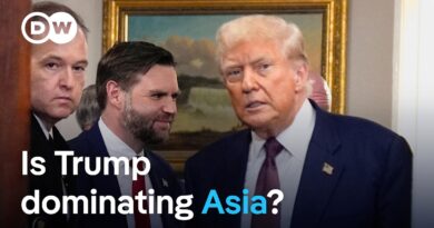 Tariff deals: Has Trump carried through against Asian countries? | DW News
