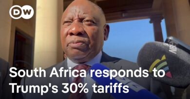 Tariffs hit South Africa hard, with automotive industry facing major job losses | DW News