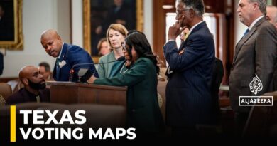Texas electoral changes: State to vote on new boundaries for districts