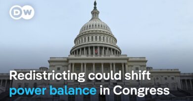 Texas passes Trump-backed new congressional maps ahead of 2026 elections | DW News