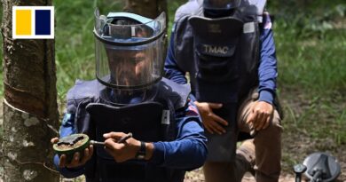 Thai army displays landmines it says Cambodia planted