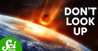The Asteroids Big Enough to Wipe Out All Life