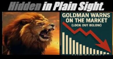 THE DOMINOS ARE FALLING… (GOLDMAN SACHS ISSUES A NEW STOCK MARKET WARNING). Mannarino