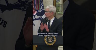 The exception to Trump’s circa 100% tariffs on semiconductors | DW News