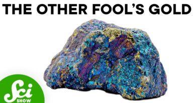 The Fool’s Gold You’ve Never Heard Of