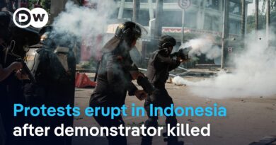The killing of a civilian by a police vehicle sparked protests | DW News