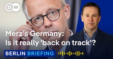 The Merz era: What has he achieved? Where is he failing? | Berlin Briefing Podcast