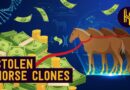 The Multimillionaire Feud Over Horse Clones