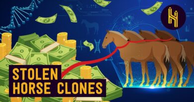 The Multimillionaire Feud Over Horse Clones