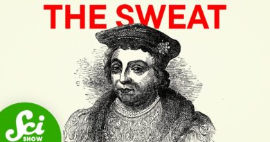 The Mysterious Disease That Wiped Out The Tudors