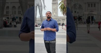 The rise of AI companions