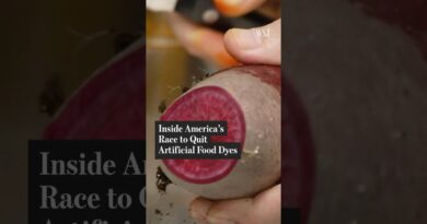 The Supply Chain Behind One of the U.S.’ Largest Food Dye Companies