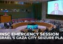 ‘This is pure starvation’: UN  aid  coordinator slams Israel’s Gaza plans in UNSC emergency session