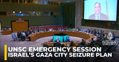 ‘This is pure starvation’: UN  aid  coordinator slams Israel’s Gaza plans in UNSC emergency session