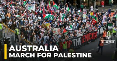 Thousands of Australians join nationwide protests in solidarity with Palestinians in Gaza