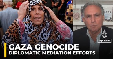 To stop the genocide, Arab leaders must go to Washington like the Europeans: Marwan Bishara