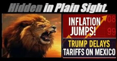TRUMP DELAYS TARIFFS ON MEXICO. COPPER CRATERS AS TRUMP EXEMPTS FROM TARIFFS. INFLATION RISES.