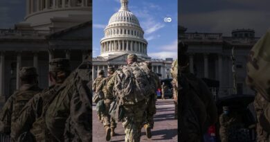 Trump deploys National Guard in Washington, DC | DW News