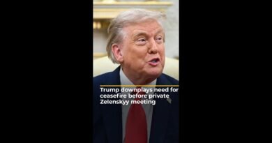 Trump downplays need for ceasefire before private Zelenskyy meeting | AJ #shorts