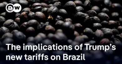 Trump hits Brazil with tariffs over Bolsonaro trial | DW News