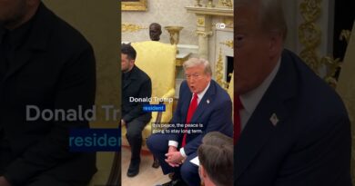 Trump unclear on whether American peacekeepers could go to Ukraine | DW News