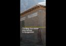 Turning rice waste into homes in Kyrgyzstan | AJ #shorts