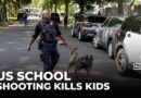 Two children killed when gunman fires into US Catholic school