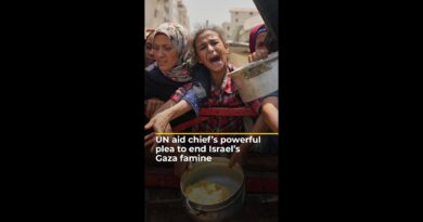 UN aid chief’s powerful plea to end Israel’s Gaza famine | #ajshorts