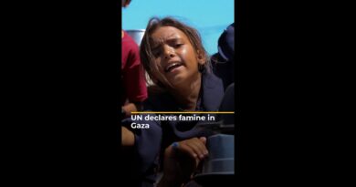 UN declares famine in Gaza | AJ #shorts
