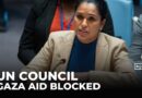 UN Security Council presses Israel on Gaza aid, US stands apart
